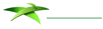 Rodoalcool